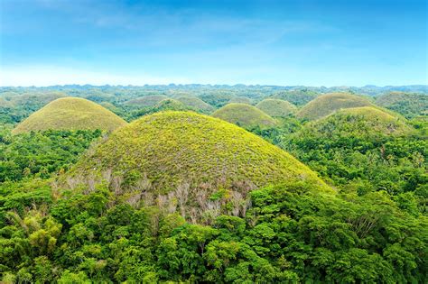 www.hris.gov.bohol|bohol description.